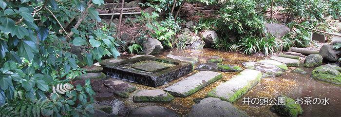 井の頭公園 お茶の水