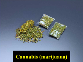 Marijuana